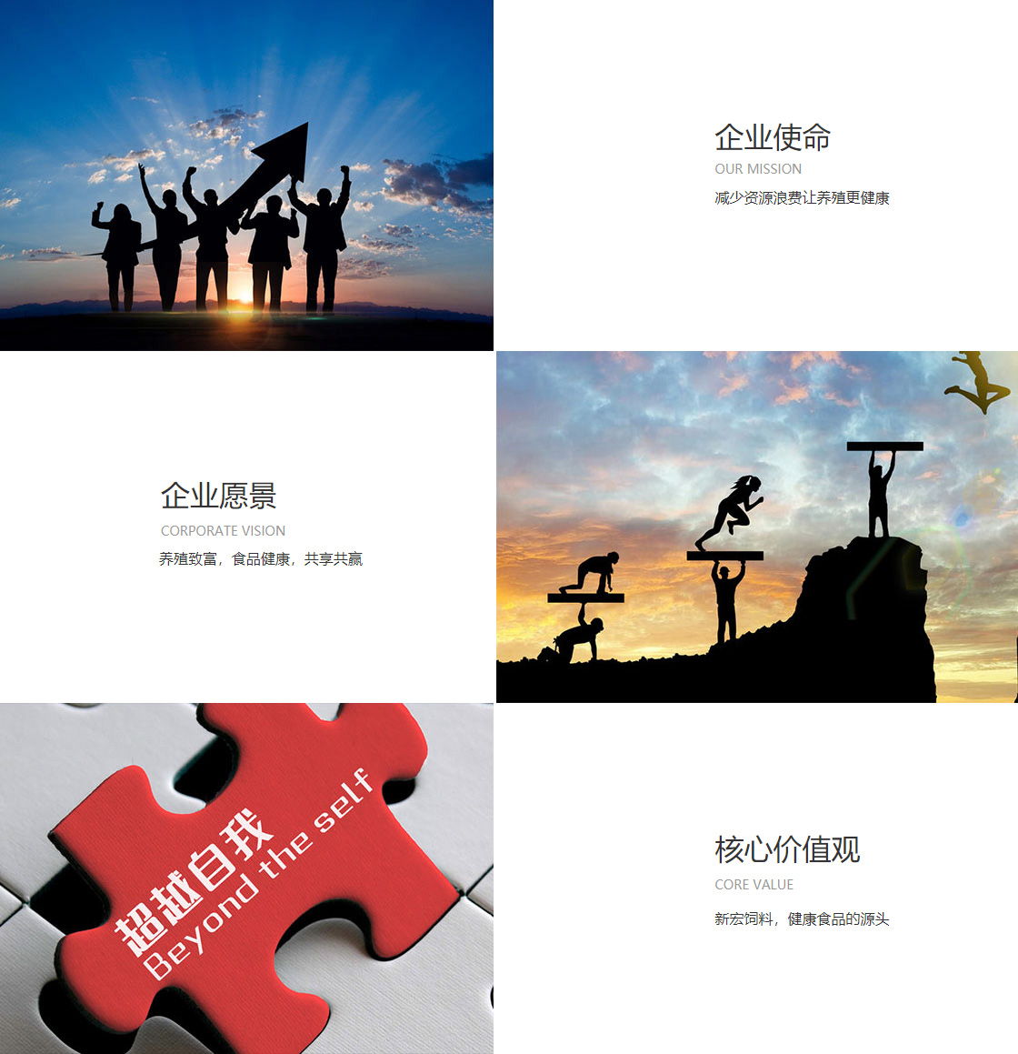 开云(中国)网站(图1)